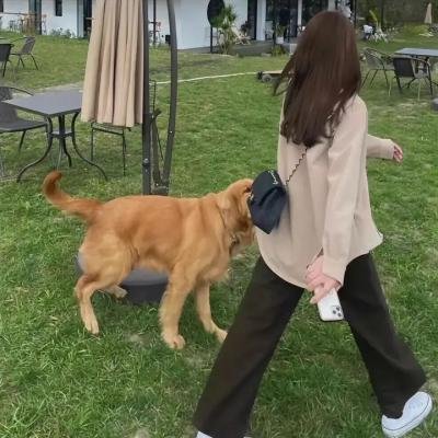 机甲旋风