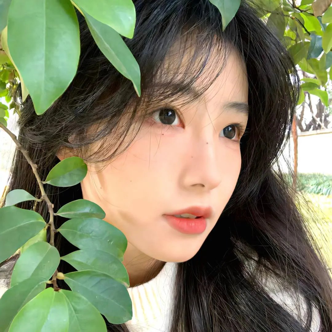 戆子记