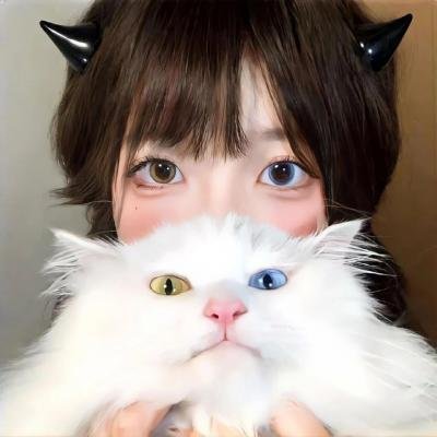 铁甲奇侠